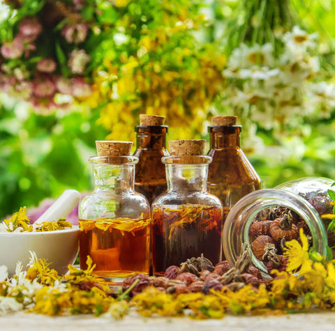 Compléments & infusions pour favoriser la conception