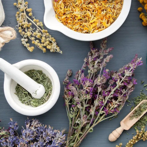 Compléments & infusions pour l'allaitement