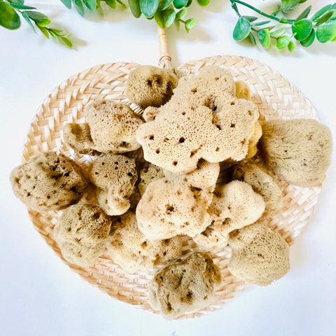 Éponge naturelle non blanchie - Douceur et soin pour les peaux sensibles