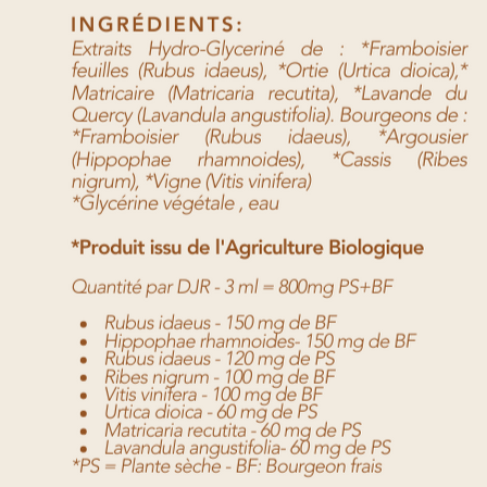 Dar a Luz – Accouchement & Post-Partum – Curanderas