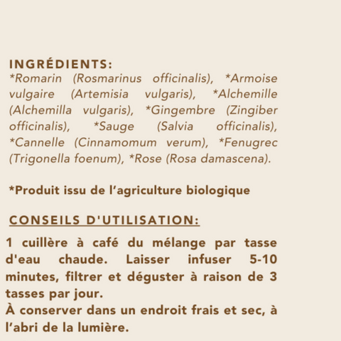 Infusion Bio - Feu de 85 g